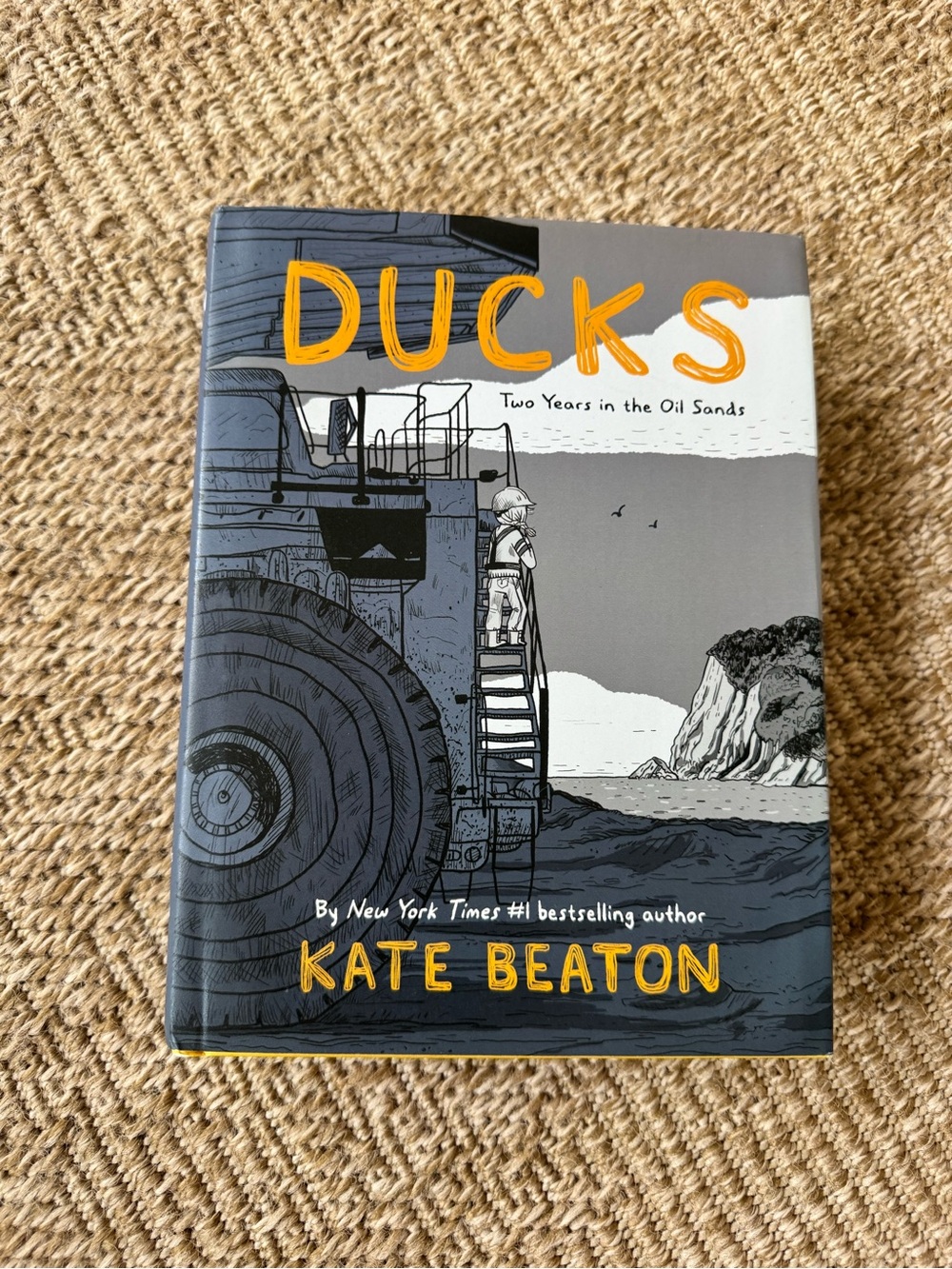 Like new hardcover graphic novel by Kate Beaton - book